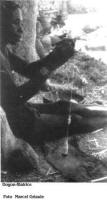 Dogon: filatrice