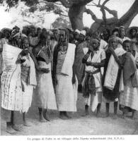 Fulbe: Nigeria settentrionale