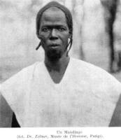 Mandingo