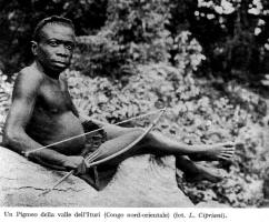 Pigmeo-Congo Nord-Est
