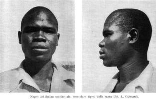 Sudan Occidentale: tipici