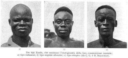 Zande: tipi