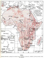 AFRICA: Condizioni altimetriche e principali rinvenimenti umani al pleistocene