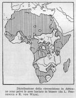 Distribuzione della circoncisione in Africa