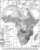 Le razze africane: distribuzione attuale